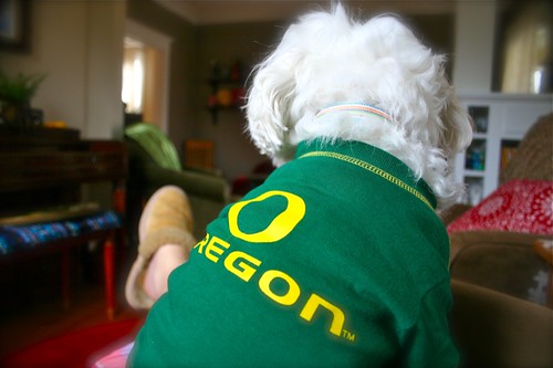 Wink is rooting for the Ducks