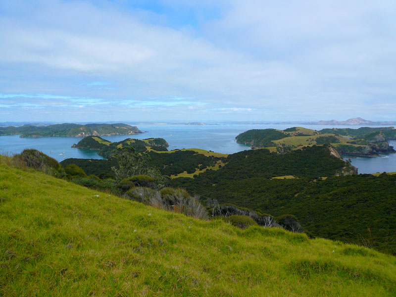 Looking out on the Bay of Islands