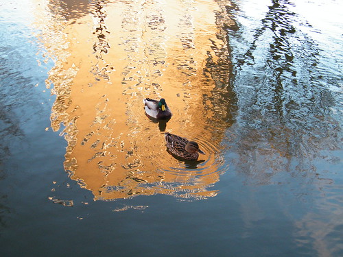 Couple on the canal
