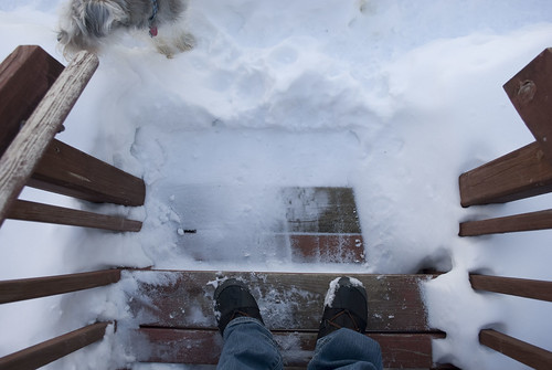 backyard winter steps