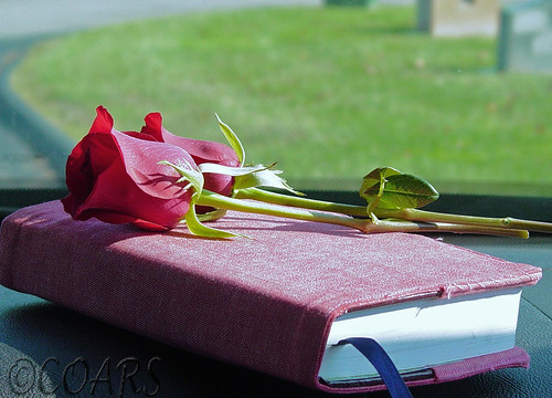 Roses & Bible @WM