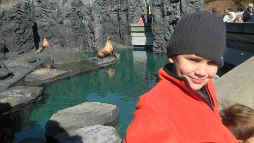 Max and the Sea Lions