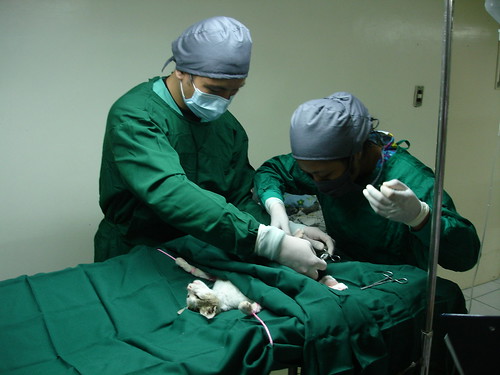 Me assisting Faye during the surgery.