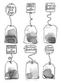 From http://www.flickr.com/photos/11438926@N00/4473019643/: The New Flavors of Tea: 2010 NYT Cartoon
