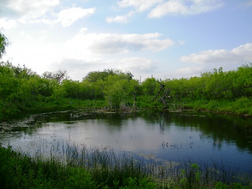 Pond at Elm Creek