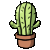 cactus%20(20)