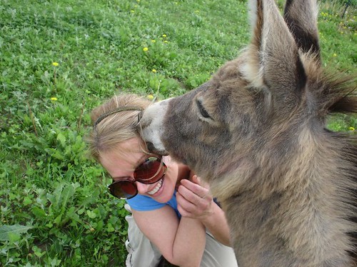 donkey_kisses