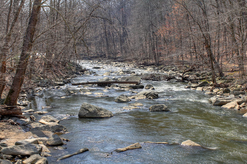 Rock Creek, Washington DC (by: Mr. T in DC, creative commons license)