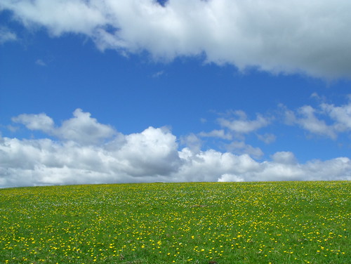  フリー写真素材, 自然・風景, 草原, 雲,  