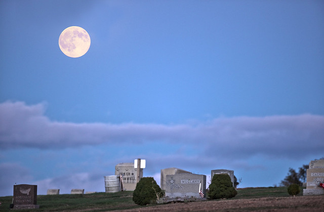 Cemetery Moon