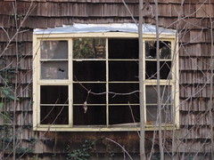 elkmont house window (2)
