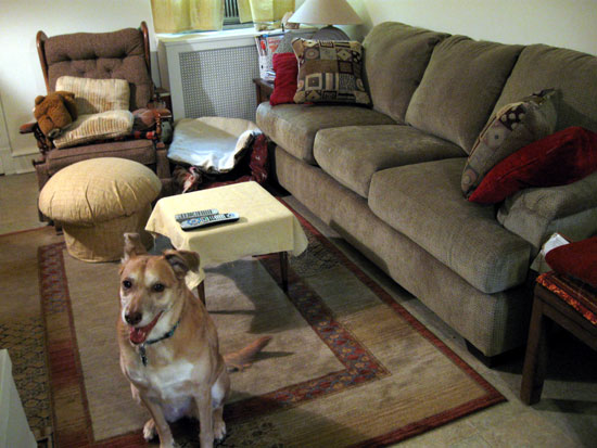 My Living Room in December 2009 (Click to enlarge)