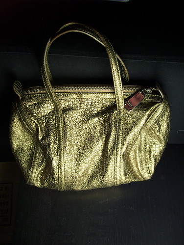 Thrifted DKNY Bag