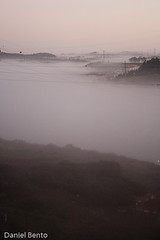 P365/10 Day034 - Fog