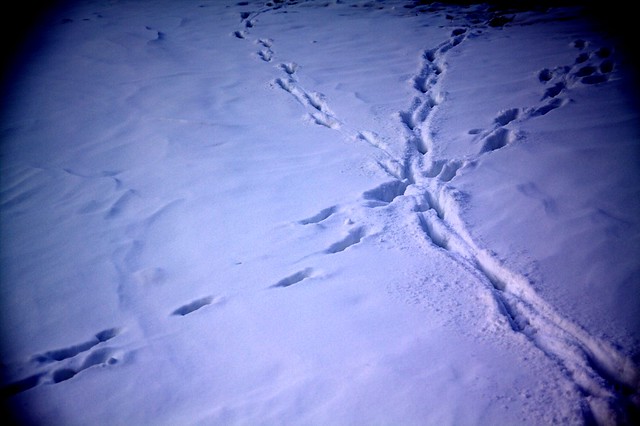 Footprints in snow v2