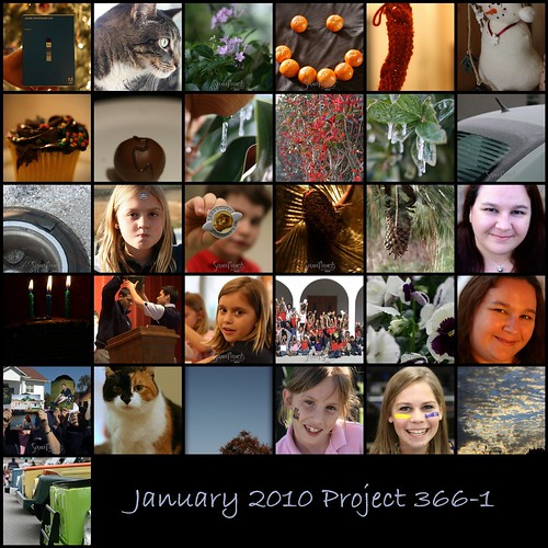 2010 01 Project 366-1 Mosaic