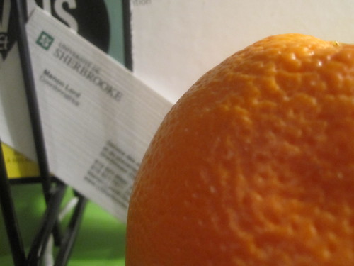 Orange from the bistro - free