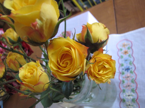 yellow roses for the new year