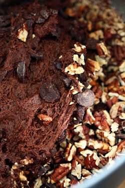 chocolate bread batter with nuts