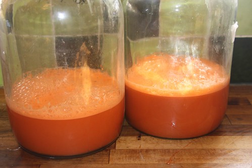 Carrot Mead