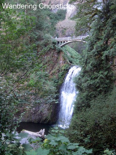 Day 4.3 Multnomah Falls - Columbia River Gorge - Oregon 7