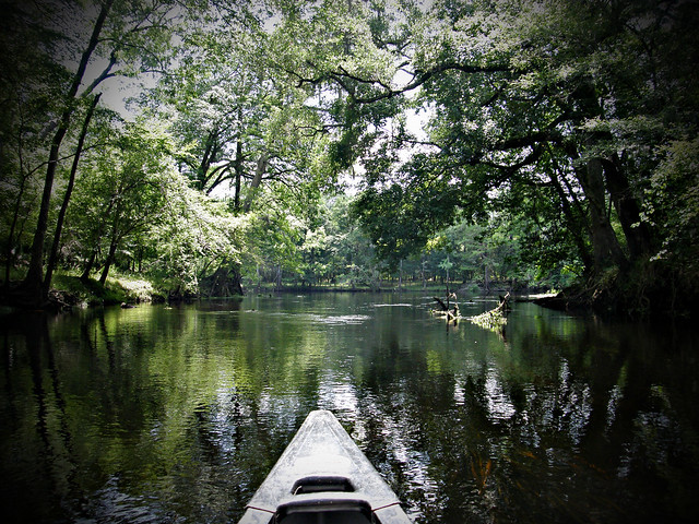 canoe trip.
