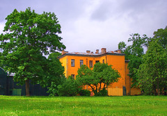 Wing of Alexander Institute. St. Petersburg