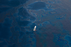 Deepwater Horizon Oil Spill - Gulf of Mexico