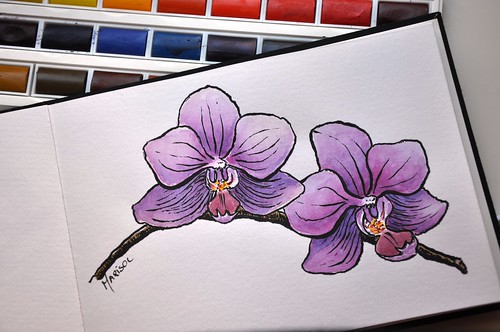 Orquidea drawn with Pentel Brush Pen and watercolors