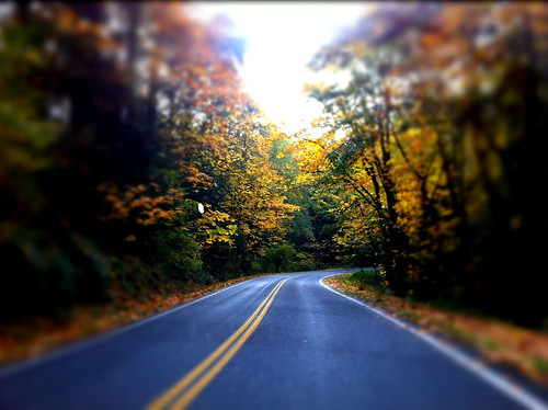 The road less traveled is always the most interesting...and beautiful.