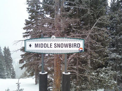 middleSnowbird