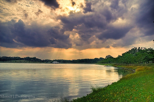 Another view of Bedok Reservoir Park