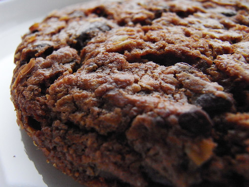 02-17 oatmeal raisin with chocolate and nuts