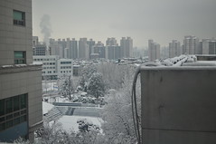 10-03-2010. Seoul, HUFS Campus. 8:50am