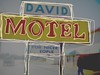 David Motel For Nicer People