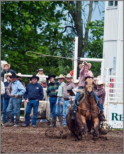 Calf roping    ____4099 (by Silver Image)
