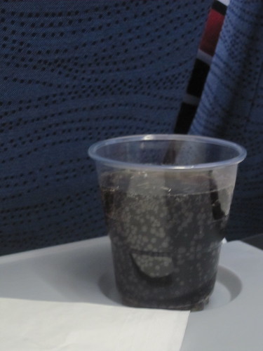 Diet Coke on the plane (included)