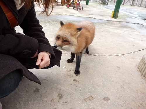 fox18