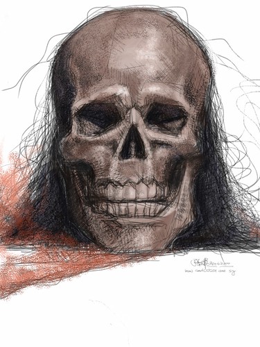 skull study 3 colour on iPad