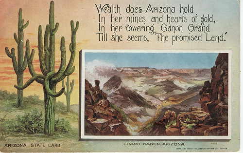 POSTCARD: Arizona Gold (Front)