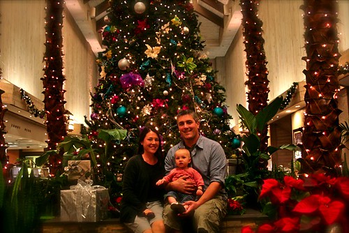 Family Photo - Florida Christmas tree