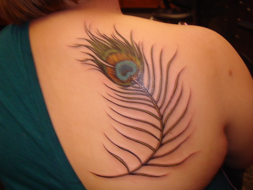 peacock feather tattoo by viciousvelvets