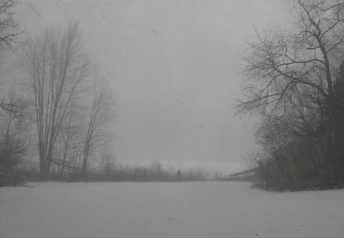 Blizzard obscuring the view of the lake