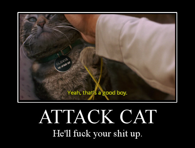 attack_cat