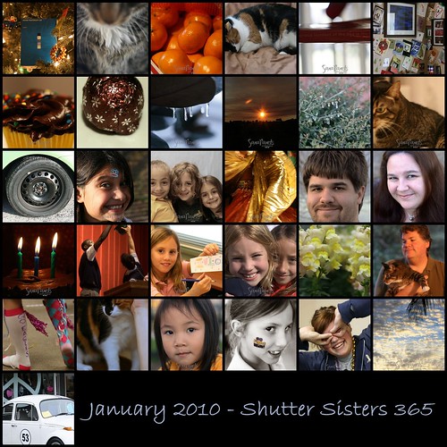 2010 01 Shutter Sisters Mosaic-1
