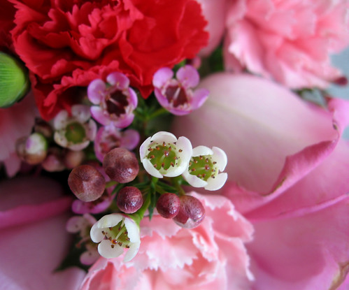 Pink Valetine's Day flowers