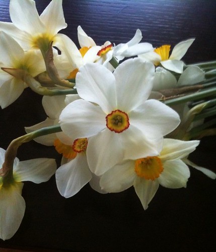 A bunch of our daffodils bloomed overnight! Picked some to share springtime inside.