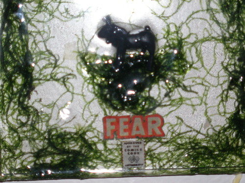 Fear: Approved...(Detail)