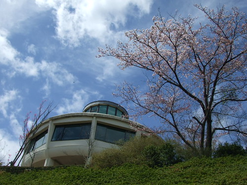 広島市植物園  画像 18