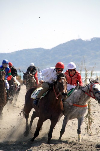 相良草競馬大会-Local horse race in Sagara